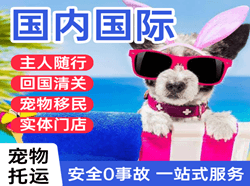 黄山机场托运国际宠物托运 【国